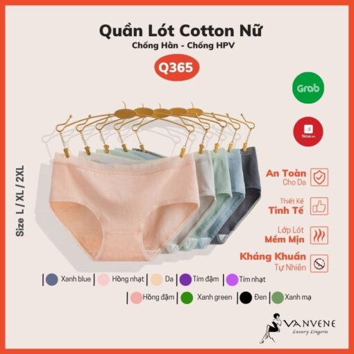 [Mã Skama8 Giảm 8% Đơn 300K] Quần Lót Cotton 365 Không Hằn Kháng Khuẩn Chống Hpv 10 Màu Big Size Đến 65Kg Cạp Vừa Q365